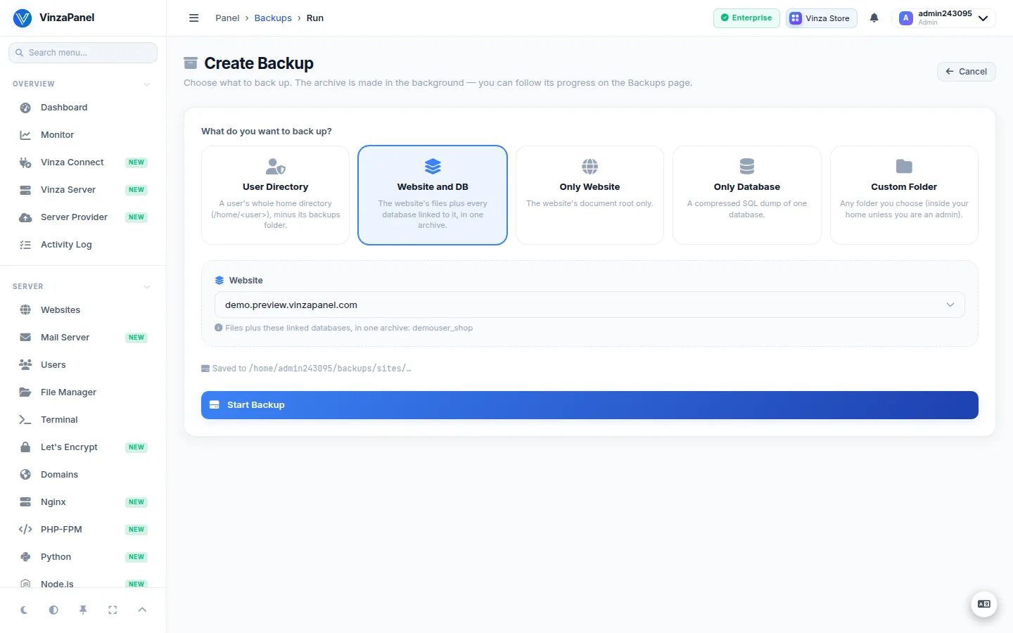 Create Backup page showing the five backup type tiles, with Only Website selected and a website chosen
