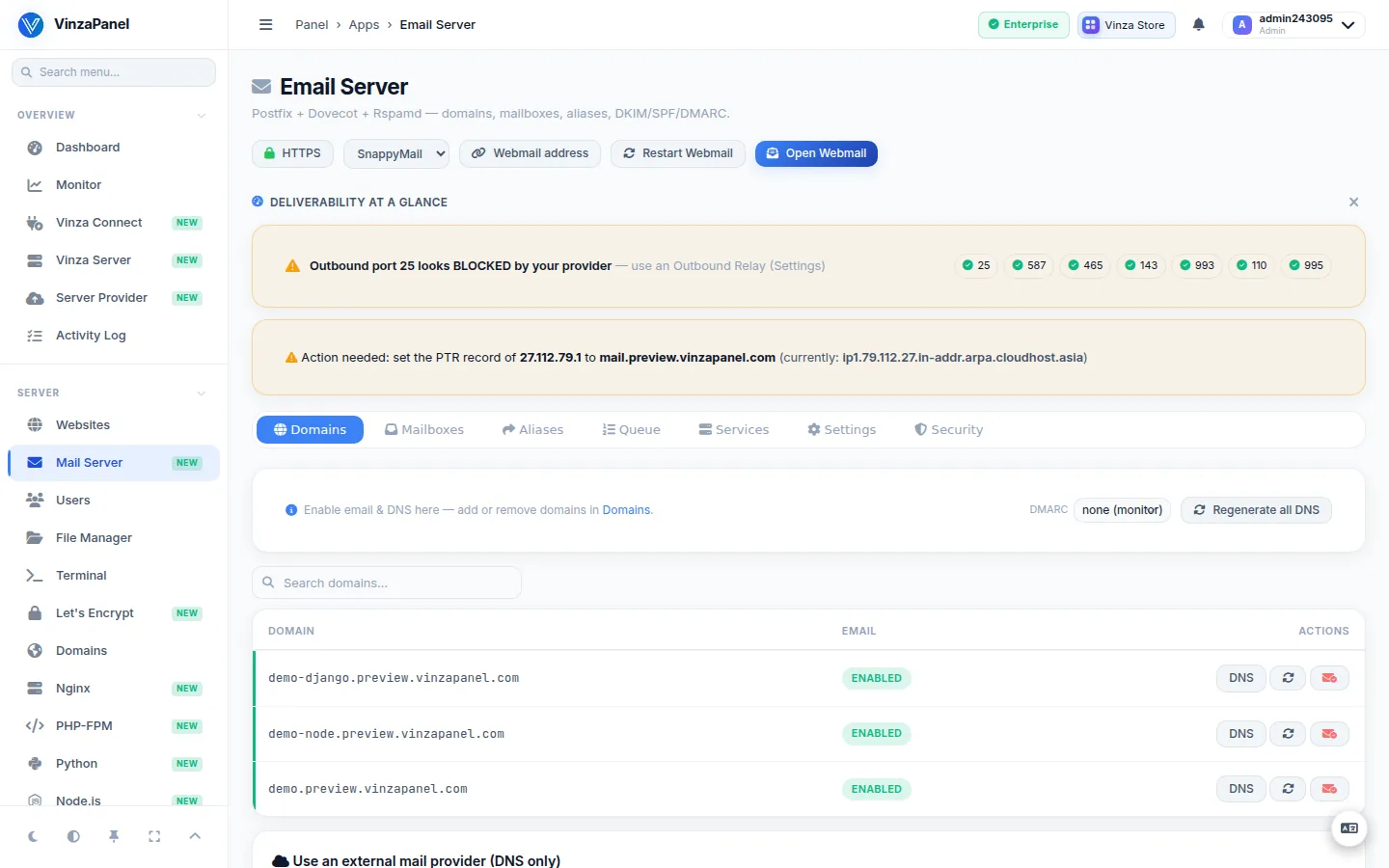 Email Server Domains tab listing mail-enabled domains with their DNS buttons and the deliverability summary